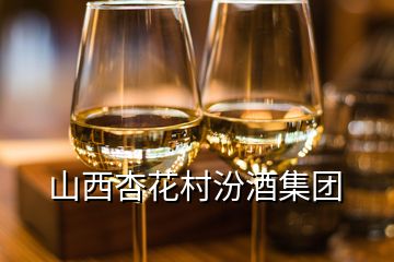 山西杏花村汾酒集團