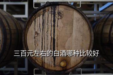 三百元左右的白酒哪種比較好