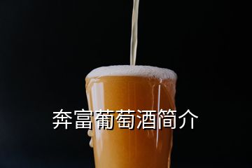 奔富葡萄酒簡介