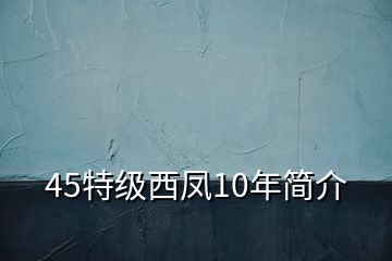 45特級(jí)西鳳10年簡(jiǎn)介