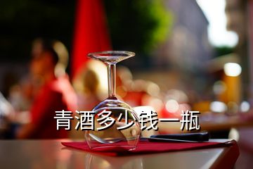 青酒多少錢一瓶