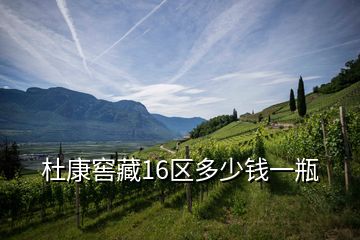 杜康窖藏16區(qū)多少錢(qián)一瓶