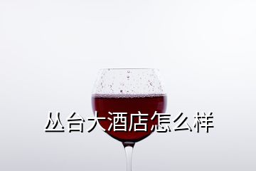 叢臺大酒店怎么樣