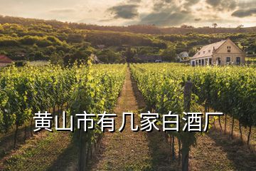 黃山市有幾家白酒廠