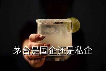 茅臺(tái)是國企還是私企