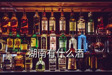 湖南有什么酒