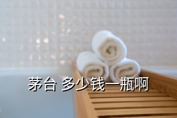 茅臺(tái) 多少錢一瓶啊