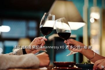 請問 誰知道 軒尼詩Hennessy XO 酒 多少錢一瓶 謝謝