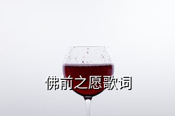 佛前之愿歌詞