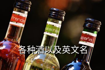 各種酒以及英文名