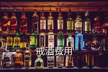 戒酒費(fèi)用