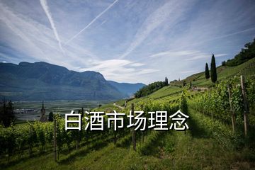 白酒市場(chǎng)理念