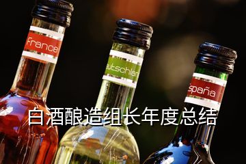 白酒釀造組長(zhǎng)年度總結(jié)