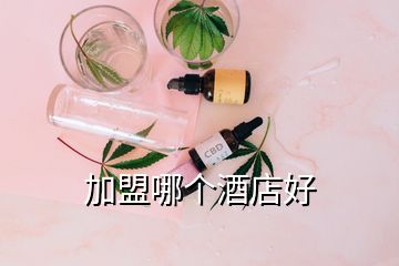 加盟哪個(gè)酒店好