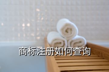 商標(biāo)注冊(cè)如何查詢