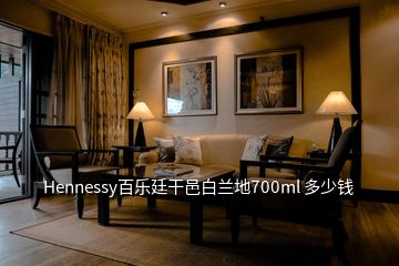 Hennessy百樂(lè)廷干邑白蘭地700ml 多少錢