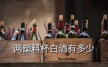 兩塑料杯白酒有多少