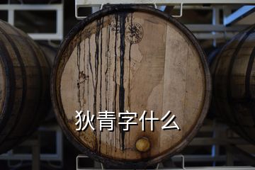 狄青字什么