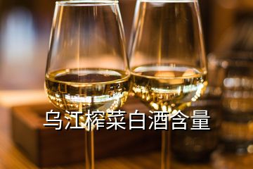 烏江榨菜白酒含量