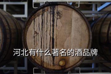 河北有什么著名的酒品牌