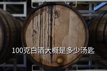 100克白酒大概是多少湯匙