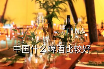 中國(guó)什么啤酒比較好