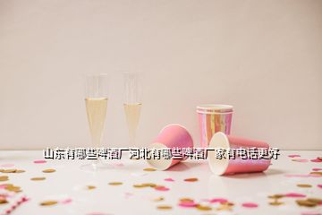 山東有哪些啤酒廠河北有哪些啤酒廠家有電話更好