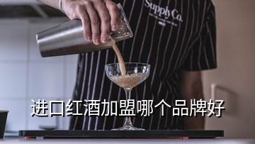 進口紅酒加盟哪個品牌好