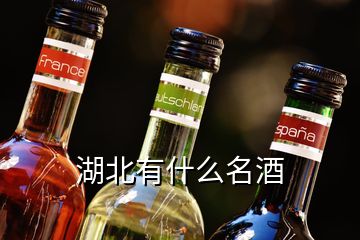 湖北有什么名酒