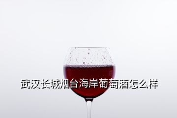 武漢長城煙臺海岸葡萄酒怎么樣