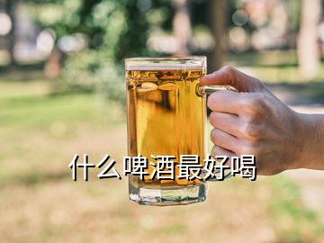 什么啤酒最好喝