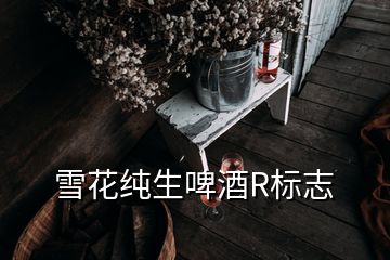 雪花純生啤酒R標(biāo)志