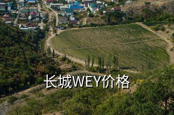 長城WEY價格