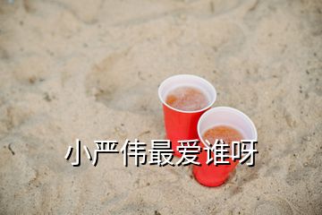 小嚴偉最愛誰呀