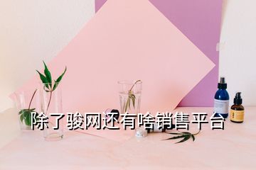 除了駿網(wǎng)還有啥銷售平臺(tái)