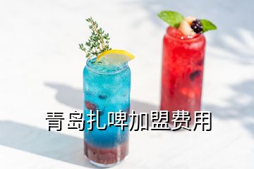 青島扎啤加盟費(fèi)用