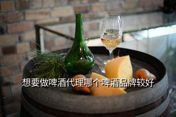 想要做啤酒代理哪個啤酒品牌較好