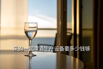 采購一套啤酒生產(chǎn)設(shè)備要多少錢夠