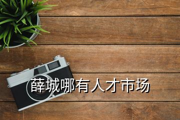 薛城哪有人才市場(chǎng)