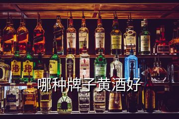 哪種牌子黃酒好