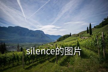 silence的圖片