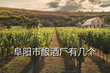 阜陽市釀酒廠有幾個(gè)