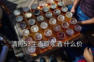 清照53生態(tài)原漿酒 什么價(jià)