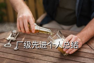 廠級先進(jìn)個人總結(jié)