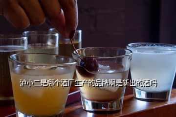 瀘小二是哪個酒廠生產(chǎn)的品牌啊是新出的酒嗎