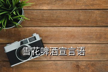 雪花啤酒宣言語(yǔ)