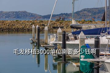 毛發(fā)移植3000單位需要多少錢(qián)啊