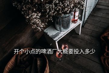 開(kāi)個(gè)小點(diǎn)的啤酒廠大概要投入多少