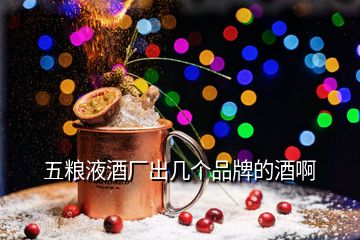 五糧液酒廠出幾個品牌的酒啊