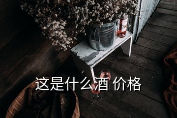 這是什么酒 價(jià)格